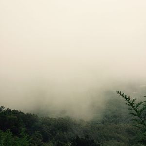 美女和男生在床上搓搓
